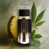 DREAM