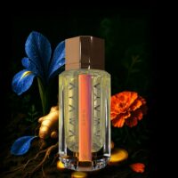 Zawaya Collection Premium Oud And Oriental Perfumes Zawaya 