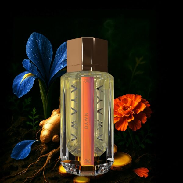 Zawaya Collection Premium Oud And Oriental Perfumes Zawaya 