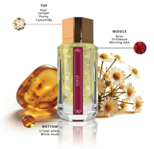 Zawaya Collection Premium Oud And Oriental Perfumes Zawaya 